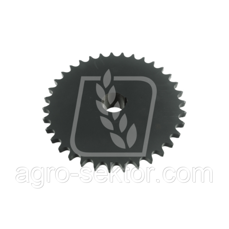 Зірочка Зірочка