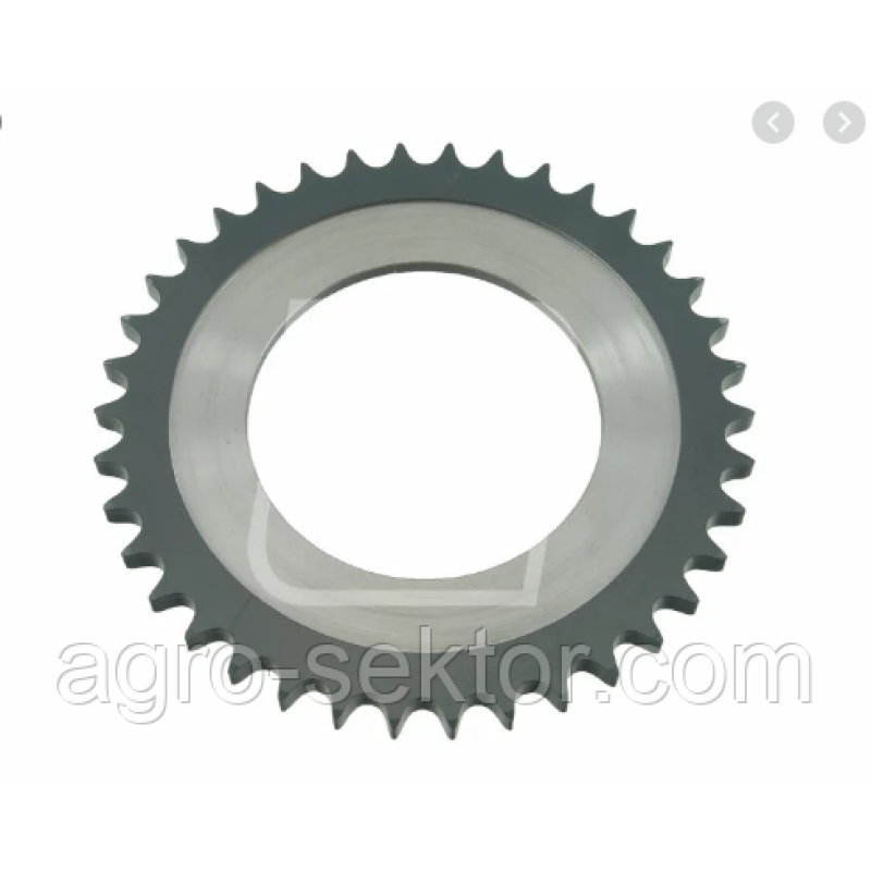 Зірочка Зірочка