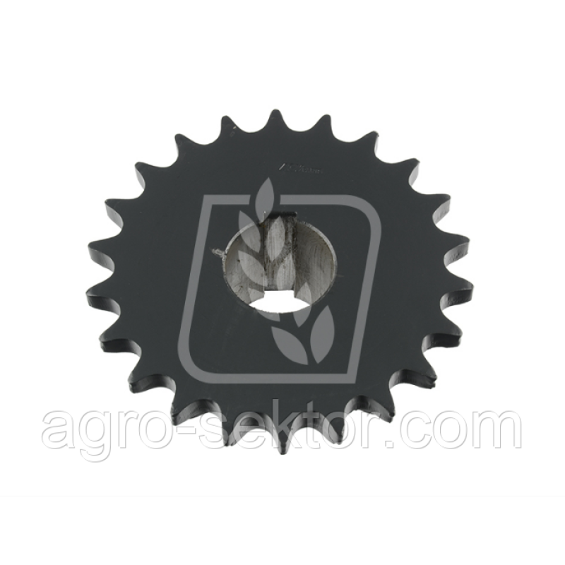 Зірочка Зірочка